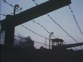 1987年译制片逃离索比堡56视频 图7