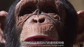 超萌動物 圖2