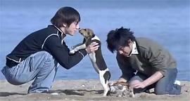 PK.COM.CN 圖4