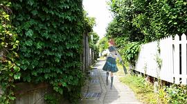 青之花 圖2