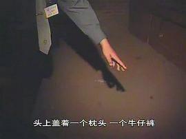 中國重案紀(jì)實(shí)錄 圖6