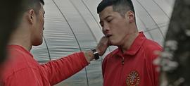 狼來了 圖1