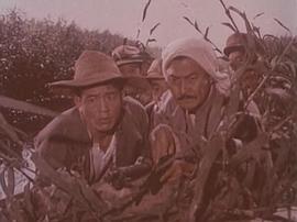 黃河少年 圖10