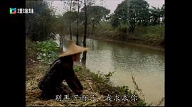 再見(jiàn)艷陽(yáng)天 圖7