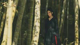 剌客聶隱娘 圖4