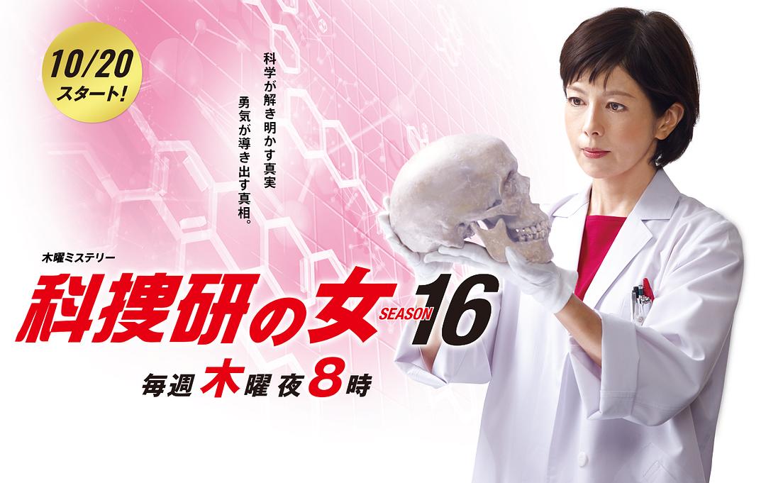 科搜研之女 第16季
