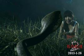 孤島驚魂2好看嗎 圖1