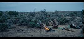 沙漠鸵鸟电影免费观看 图8