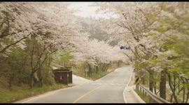布拉芙夫人 图3