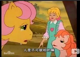 小馬駒 圖4