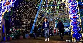 一場遇見愛情的旅行 圖10
