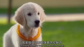 超級巴迪 圖6