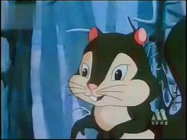貓咪小貝 圖2