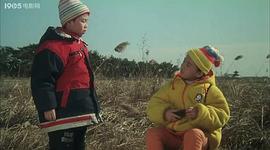 白天鵝的故事 圖6