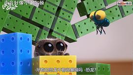 小蜘蛛盧卡斯 圖5