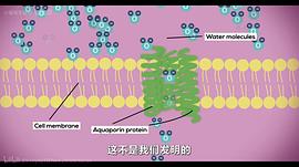 蓝色世界：终结水危机 图3