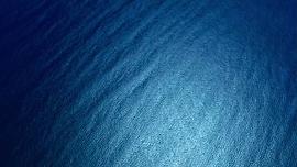 抹香鲸深蓝传奇 图1