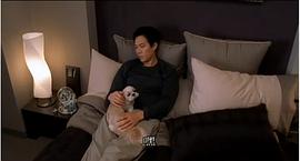 跨躍彩虹 圖2