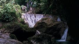 金銀島 圖9
