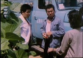 迷人的樂隊西瓜視頻 圖4