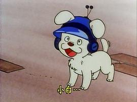 叮當(dāng)貓BOT創(chuàng)始人 圖3