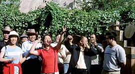吐魯番情歌 圖3
