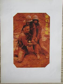 他們正年輕 圖10