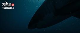 大浪白鲨 电影 图4