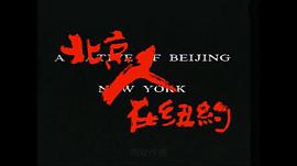 北京人在纽约电影免费观看完整版 图7