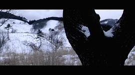 挪威的森林一段小视频细节描写 图8