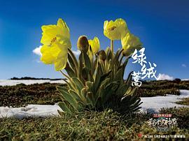 秘境神草 第二季 圖4
