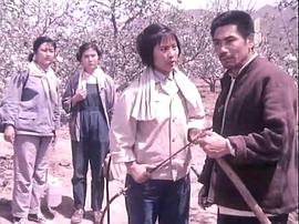 山村新人 圖5