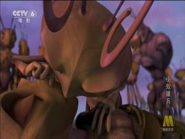 一部蚂蚁的动画电影 图6