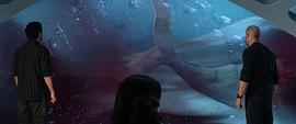 10000米长的巨齿鲨 图4