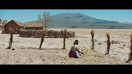 我们的家园电影玻利维亚 图3