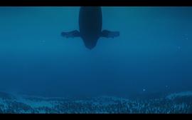 人工鲸鱼刮掉藤壶视频 图7