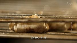 人生一串 第一季 圖10