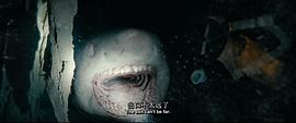 鯊海逃生 圖4