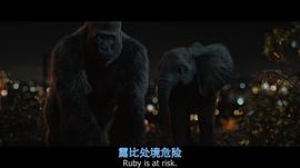 男主叫伊萬(wàn)的俄羅斯電影 圖5
