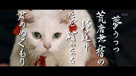 猫侍剧场版 图5