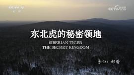 野性四季：珍稀野生動物在中國 圖4
