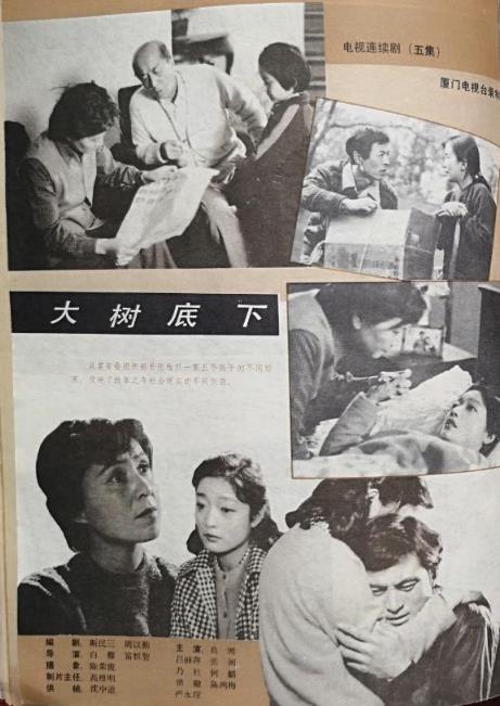 大樹底下