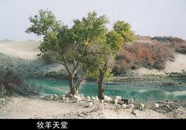 魂斷樓蘭 圖2