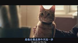 流浪貓鮑勃 圖10