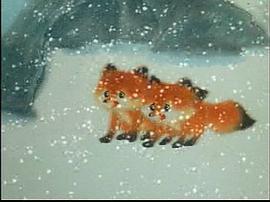 雪狐 圖7