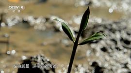 秘境廣西 圖3