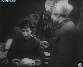 昆侖山上一棵草 圖4