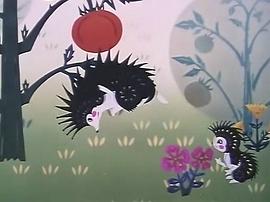 刺猬背西瓜 圖2