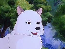 辛巴獅子王 圖10