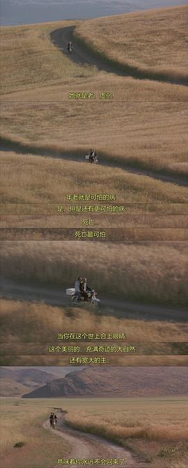 隨風(fēng)而逝 圖4